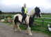 Horses Come For A  Loan  Ride