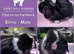 Baby Mini Lop Bunnies - Take home today!