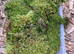 16lt Fresh Green Moss Available &pound;26.50 including Delivery
