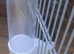 Click in cage bird drinker x 100.