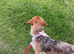 13 Month Old Patterjack