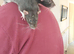 2 extremely tame male rats and cage