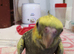 Cockatiel Pearl ( 9 Weeks old Hand reared )