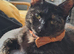 Loving willow looking for a home.