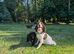 F1 Standard Cockapoo Puppies