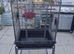 Bird cage