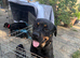 Beautiful Rottweiler cross German shepherd puppies