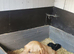 Boy labrador puppy