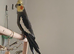 Cockatiel re-home