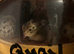 Hatching eggs chicken, duck,quail