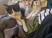 3 beautiful babies ready for new homes!