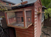 4x3 pigeon shed