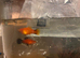 Platys