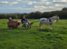 Ride and drive mare