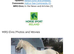 Big mate irish draught x sport horse