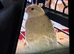 Kakariki babies ready for new homes Now