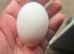 Organic eggs