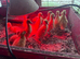 14 pekin/cherry valley day old ducklings.