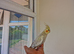 Super Silly hand tamed baby cockatiels for sale