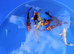 koi available &pound;5 small koi