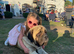 Kc registered old English mastiff puppies