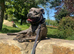 Cane corso mix puppies