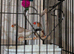 Seeling all my finches