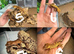 Baby crested geckos multi morph