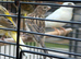 This year’s canaries