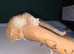 Male ginger kittens ready 19th Aug