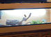 Vivarium for sale