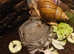 2 African land snails