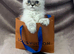 READY NOW Fully vaccinated“Louis”, Persian kitten
