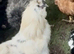 Needs rehoming asap