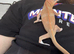 6 month old female Yemen chameleon