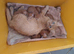 Glorious Ginger Fluffy Persian XTabby kittens