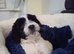 Meet Poppy - A Beautiful Little Girl Looking for Her Forever Home
