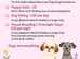 Furrylovewalks