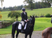 Successful competition horse