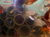 Baby mix guppies