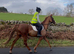 15.1hh all rounder