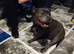 Looking to rehome