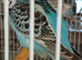 Budgies