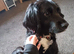 Luna 6 year old
