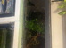 6 foot tank for sale