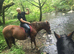 15.2/3hh weight carrier / cob x mare. Absolute happy hacker / low level all rounder. Owner for 13 years.