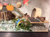 Lovely hamster and cage