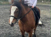 Little pony available