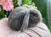 Mini lops available