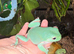 11 whites tree frogs for sale